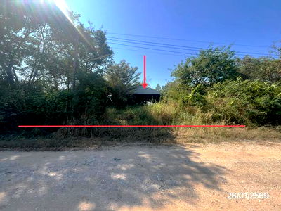 Houses for sale Phitsanulok : HOME for sale  Wang Phikun Wang Thong Phitsanulok