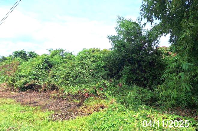 รูป ที่ดินว่างเปล่า สำหรับขาย - ปงแสนทอง เมืองลำปาง ลำปาง - รูปที่ 5/16