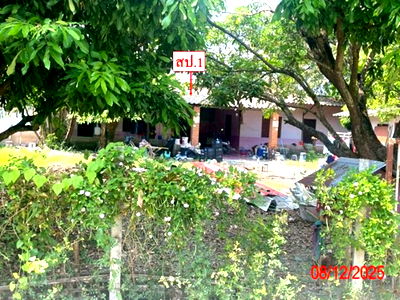 บ้านเดี่ยว เมืองลำพูน ลำพูน : บ้านเดี่ยว สำหรับขาย - อุโมงค์ เมืองลำพูน ลำพูน