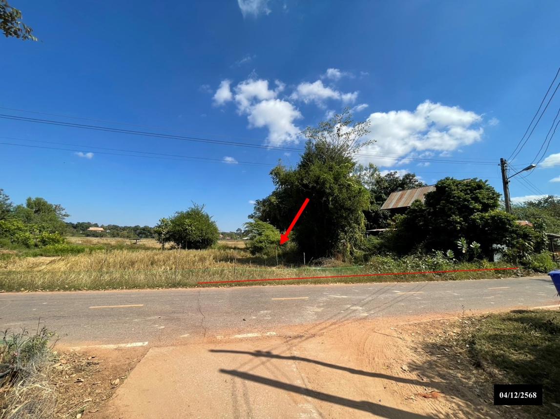 รูป ที่ดินว่างเปล่า สำหรับขาย - ส่องดาว ส่องดาว สกลนคร - รูปที่ 9/20