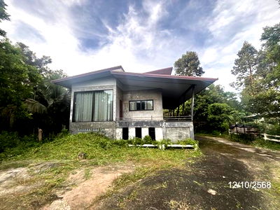 Houses for sale Muang Si Sa Ket Si Sa Ket : HOME for sale  Phon Khwao Muang Si Sa Ket Si Sa Ket