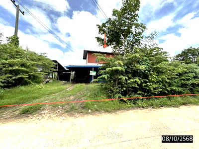 Houses for sale Roi Et : HOME for sale  Yang Kham Phon Sai Roi Et