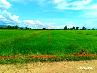 Land for sale Dok Kham Tai Phayao : LAND for sale  San Khong Dok Kham Tai Phayao