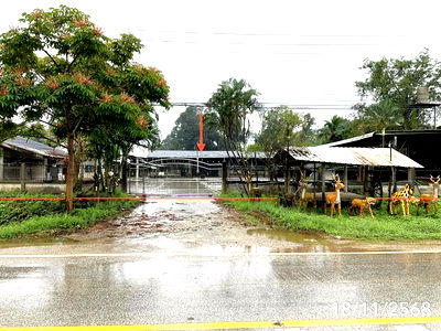 Houses for sale Wieng Kaen Chiang Rai : HOME for sale  Lai Ngao Wieng Kaen Chiang Rai