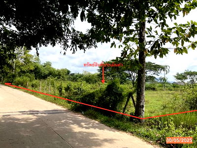 Land for sale Trang : LAND for sale  Kantrang Kantrang Trang
