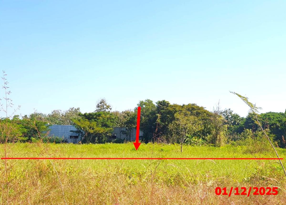 รูป ที่ดินว่างเปล่า สำหรับขาย - ป่าสัก เมืองลำพูน ลำพูน - รูปที่ 5/12