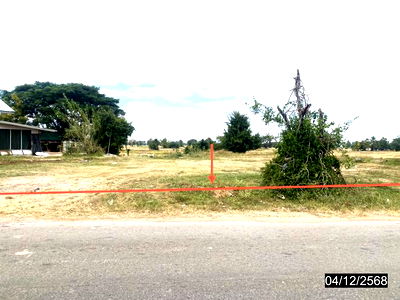 Land for sale Kalasin : LAND for sale  Nong Tok Paen Yang Talat Kalasin