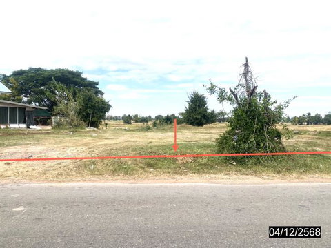 LAND 1200 Sq.w. Yang Talat Kalasin for 2.5M