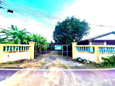 Houses for sale Hang Dong Chiang Mai : HOME for sale  Nong Tong Hang Dong Chiang Mai