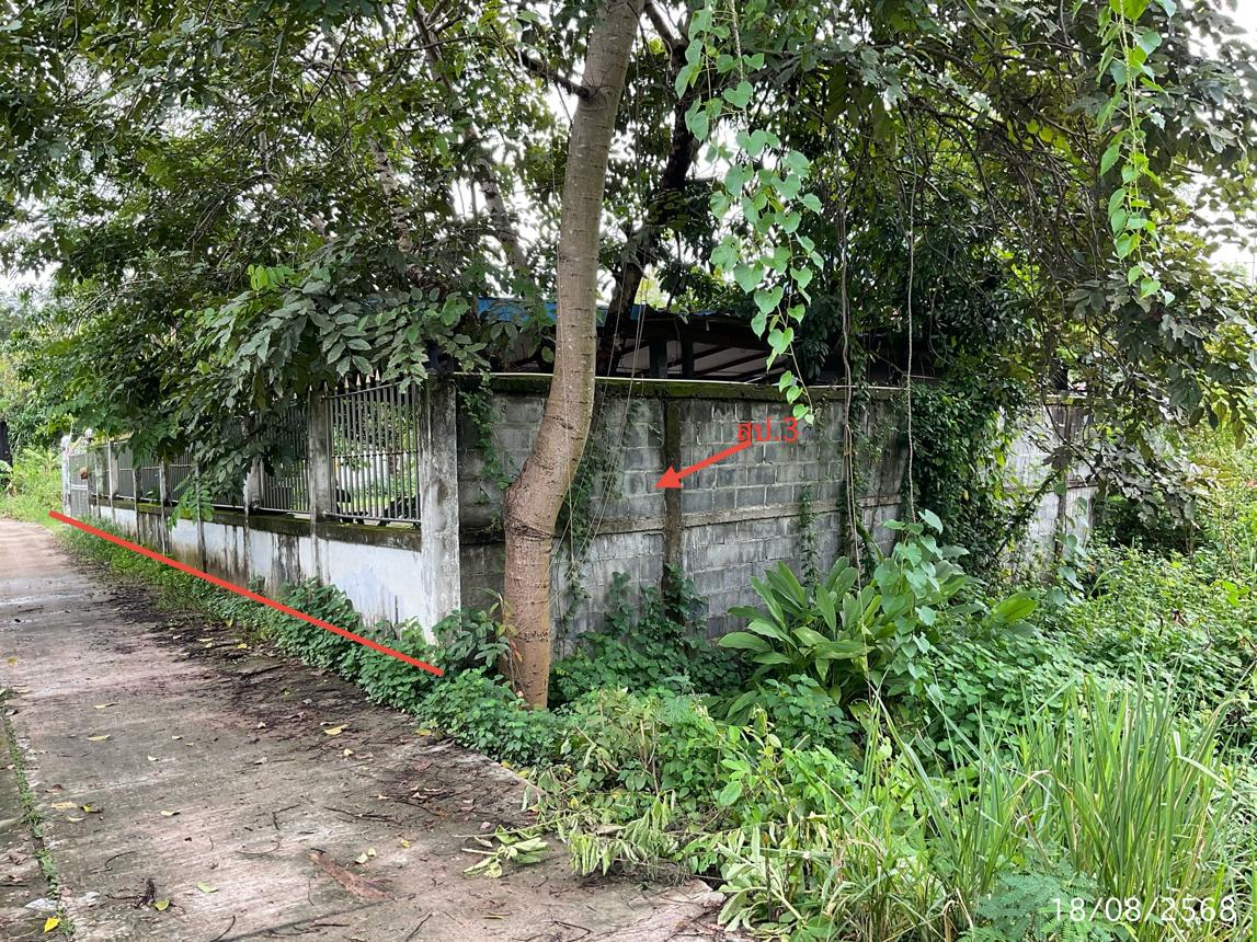 รูป บ้านเดี่ยว สำหรับขาย - กุดชมภู พิบูลมังสาหาร อุบลราชธานี - รูปที่ 10/16