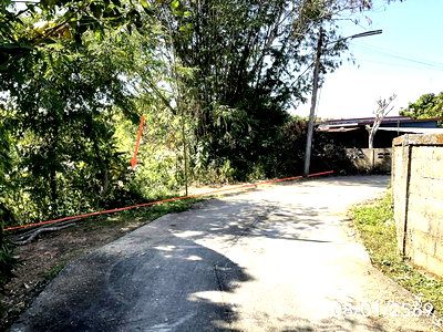 LAND 4095 Sq.w. Mae Chan Chiang Rai for 3.1M