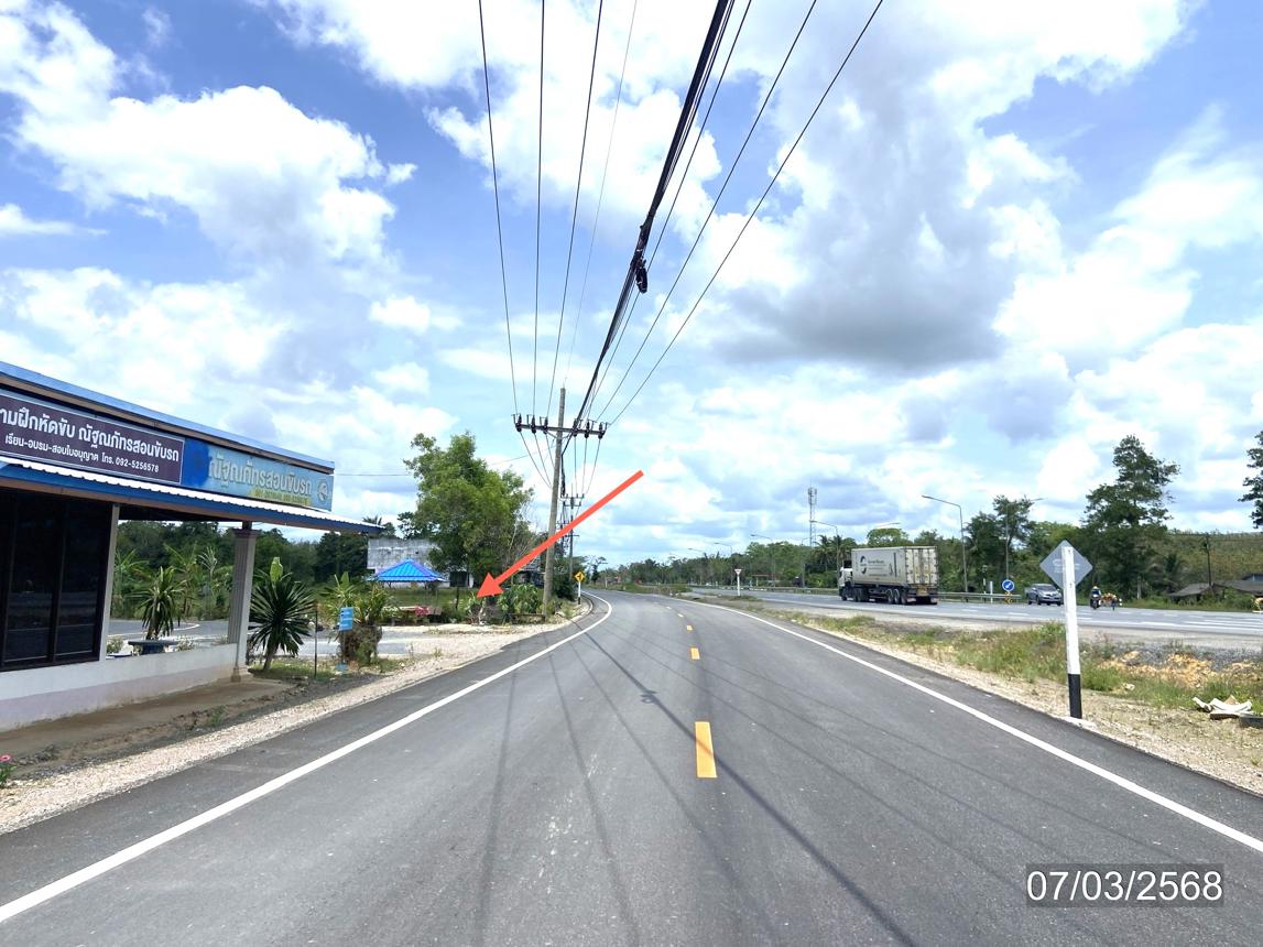 รูป ที่ดินว่างเปล่า สำหรับขาย - ชะมวง ควนขนุน พัทลุง - รูปที่ 13/24