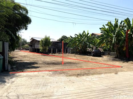 รูป ที่ดินว่างเปล่า สำหรับขาย - หนองบัว หนองบัว นครสวรรค์ - รูปที่ 15/18