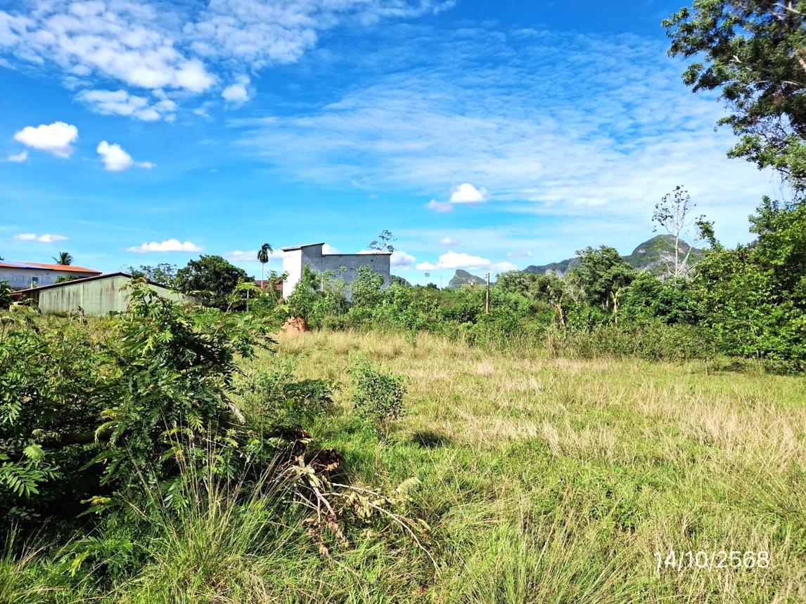 รูป ที่ดินว่างเปล่า สำหรับขาย - แพรกหา ควนขนุน พัทลุง - รูปที่ 15/24