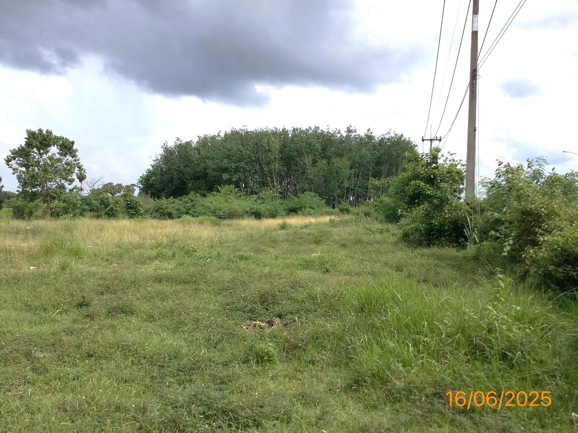 รูป ที่ดินว่างเปล่า สำหรับขาย - โพธิ์เสด็จ เมืองนครศรีธรรมราช นครศรีธรรมราช - รูปที่ 21/32