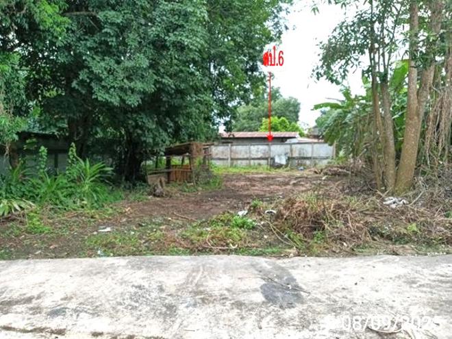 รูป โกดัง สำหรับขาย - นาอ้อ เมืองเลย เลย - รูปที่ 14/40