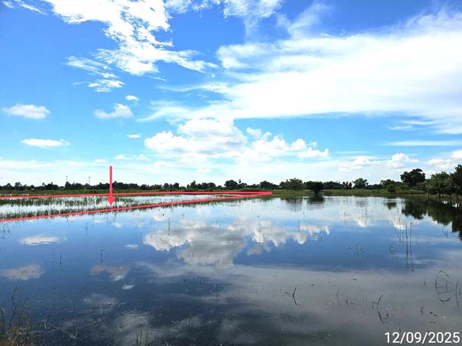 picture LAND for sale Wang Phikun Wang Thong Phitsanulok - 2/14