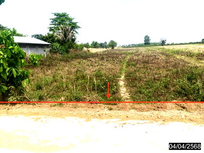 Land for sale Kalasin : LAND for sale  Nong Kung Sri Nong Kung Sri Kalasin