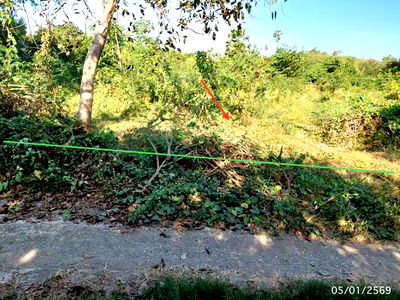 Land for sale Pa Mok Angthong : LAND for sale  Ek Rat Pa Mok Angthong