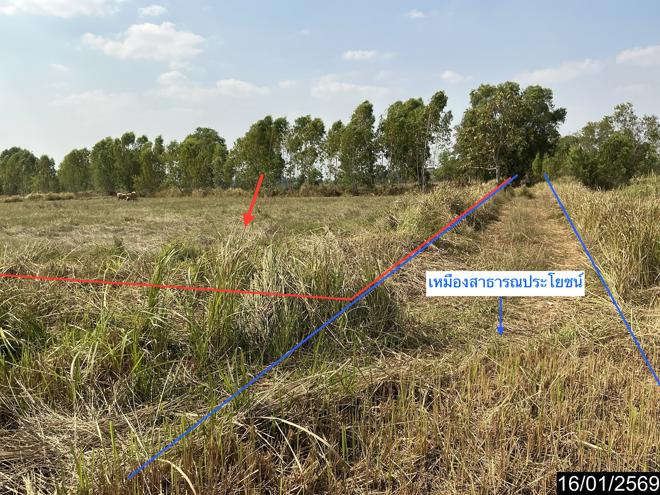 รูป ที่ดินว่างเปล่า สำหรับขาย - ประโคนชัย ประโคนชัย บุรีรัมย์ - รูปที่ 9/22