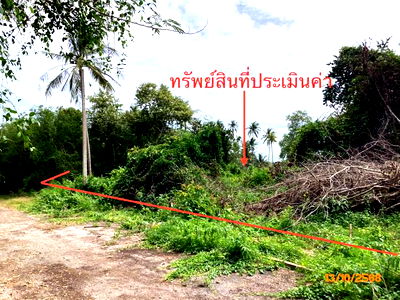 Land for sale Don Sak Surat Thani : LAND for sale  Don Sak Don Sak Surat Thani