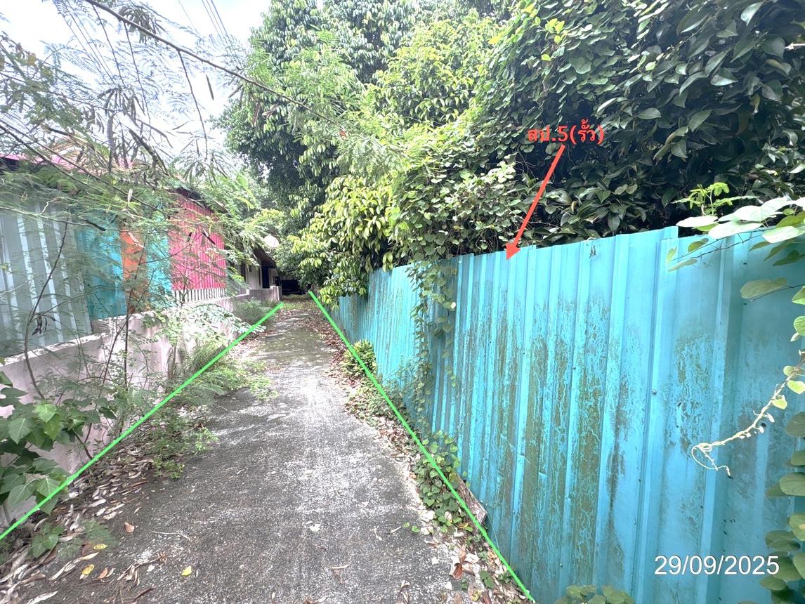 รูป อาคารสำนักงาน สำหรับขาย - ทับมา เมืองระยอง ระยอง - รูปที่ 13/18