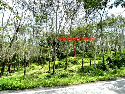 Land for sale Nakhon Sri Thammarat : LAND for sale  La-ai Chawang Nakhon Sri Thammarat