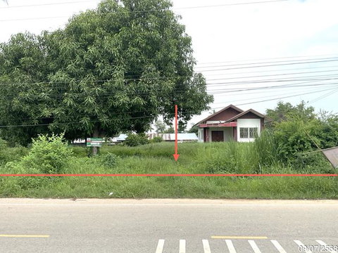 บ้านเดี่ยว 384 ตร.วา ลาดยาว นครสวรรค์ 1.2M