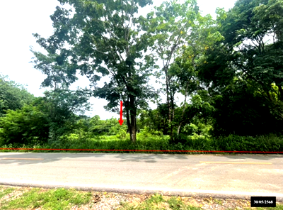 ที่ดิน วาริชภูมิ สกลนคร : ที่ดินว่างเปล่า สำหรับขาย - ค้อเขียว วาริชภูมิ สกลนคร