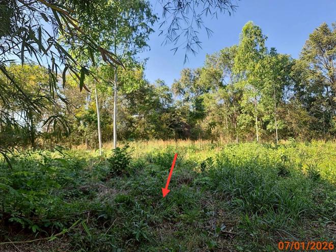 รูป ที่ดินว่างเปล่า สำหรับขาย - ตะคุ ปักธงชัย นครราชสีมา - รูปที่ 7/22