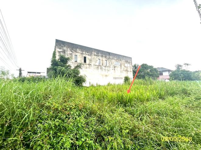 รูป ที่ดินว่างเปล่า สำหรับขาย - เสนางคนิคม เสนางคนิคม อำนาจเจริญ - รูปที่ 4/24