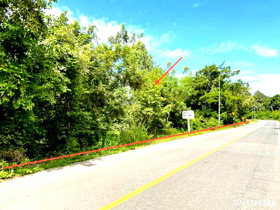 LAND 7996 Sq.w. Muang Amnat Charoen Amnat Charoen for 6M