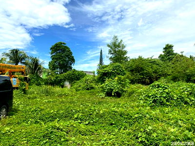 ที่ดินว่างเปล่า สำหรับขาย - คูหาสวรรค์ เมืองพัทลุง พัทลุง