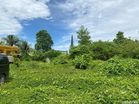 LAND 412.5 Sq.w. Muang Phatthalung Phatthalung for 12.8M
