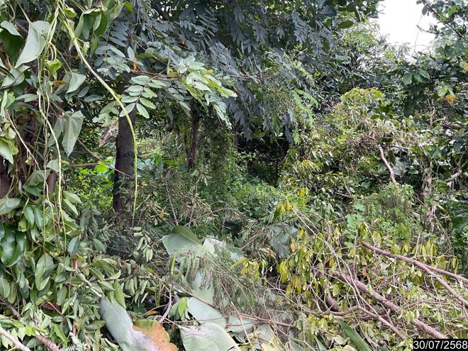 รูป บ้านเดี่ยว สำหรับขาย - หนองขอนกว้าง เมืองอุดรธานี อุดรธานี - รูปที่ 19/42