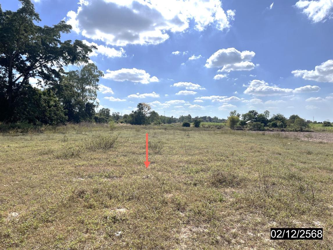 รูป ที่ดินว่างเปล่า สำหรับขาย - ไผ่ เมืองกาฬสินธุ์ กาฬสินธุ์ - รูปที่ 10/16