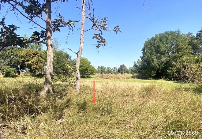 รูป ที่ดินว่างเปล่า สำหรับขาย - เหนือ เมืองกาฬสินธุ์ กาฬสินธุ์ - รูปที่ 4/14