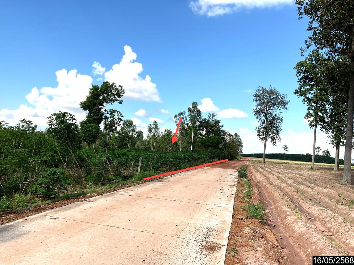 picture LAND for sale  Nong Phai Nong Han Udon Thani - 13/24