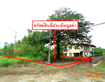 Land for sale Muang Sukhothai Sukhothai : LAND for sale  Ban Kluai Muang Sukhothai Sukhothai