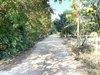 listing thumbnail image 7