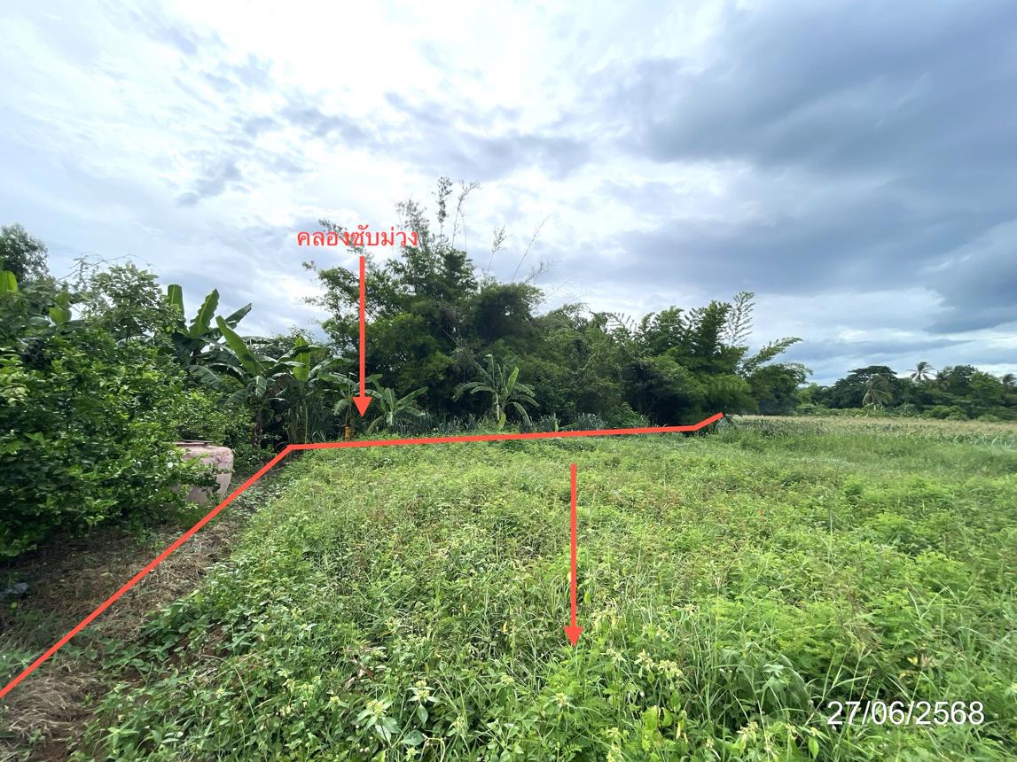 รูป ที่ดินว่างเปล่า สำหรับขาย - วังชมภู เมืองเพชรบูรณ์ เพชรบูรณ์ - รูปที่ 17/24