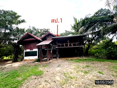 บ้านเดี่ยว ม.การจัดการและเทคโนโลยีอีสเทิร์น : บ้านเดี่ยว สำหรับขาย - แจระแม เมืองอุบลราชธานี อุบลราชธานี