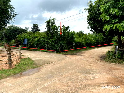 Land for sale Kalasin : LAND for sale  Nong Kung Sri Nong Kung Sri Kalasin