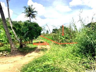 ที่ดิน เมืองนครสวรรค์ นครสวรรค์ : ที่ดินว่างเปล่า สำหรับขาย - นครสวรรค์ตก เมืองนครสวรรค์ นครสวรรค์