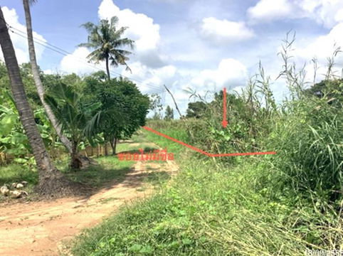 LAND for sale Nong Krot Muang Nakhon Sawan Nakhon Sawan