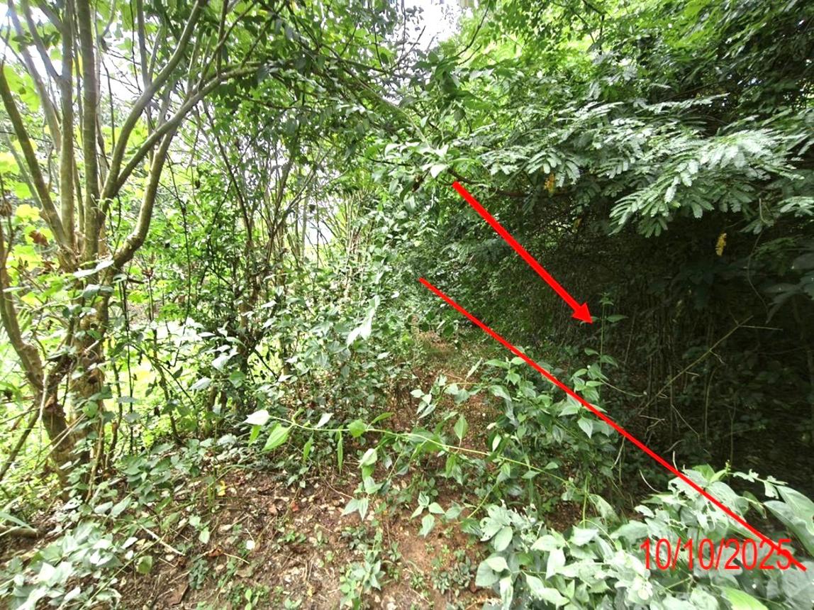 รูป ที่ดินว่างเปล่า สำหรับขาย - บ้านโฮ่ง บ้านโฮ่ง ลำพูน - รูปที่ 10/16