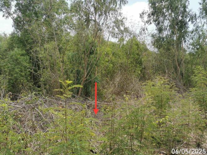 รูป ที่ดินว่างเปล่า สำหรับขาย - แคตก บางไทร พระนครศรีอยุธยา - รูปที่ 8/20