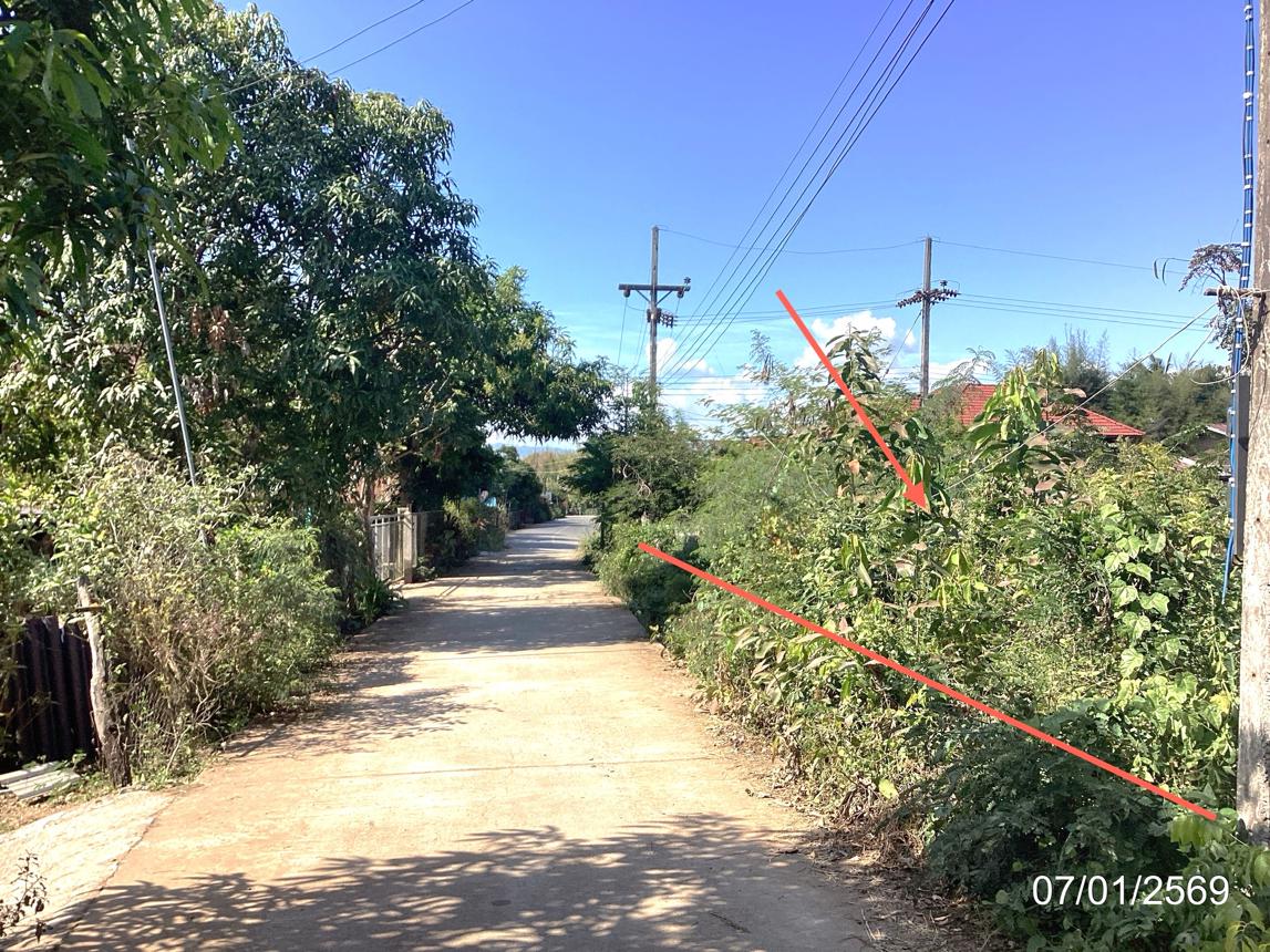 รูป ที่ดินว่างเปล่า สำหรับขาย - เชียงม่วน เชียงม่วน พะเยา - รูปที่ 11/16