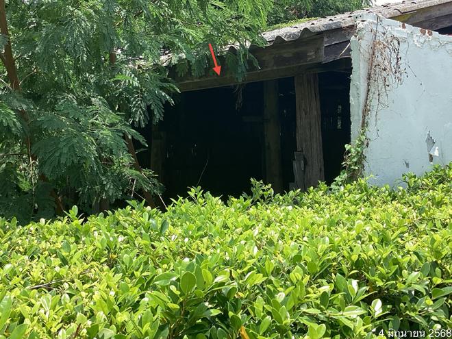 รูป บ้านเดี่ยว สำหรับขาย - สันโค้ง ดอกคำใต้ พะเยา - รูปที่ 7/20