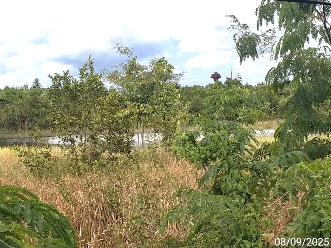 รูป ที่ดินว่างเปล่า สำหรับขาย - บ้านใหม่หนองไทร อรัญประเทศ สระแก้ว - รูปที่ 13/20